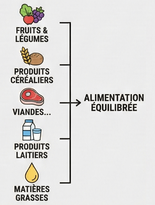 Variété aliments sains fruits légumes protéines rééquilibrage